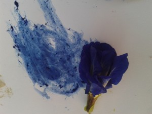 pigment_bleu