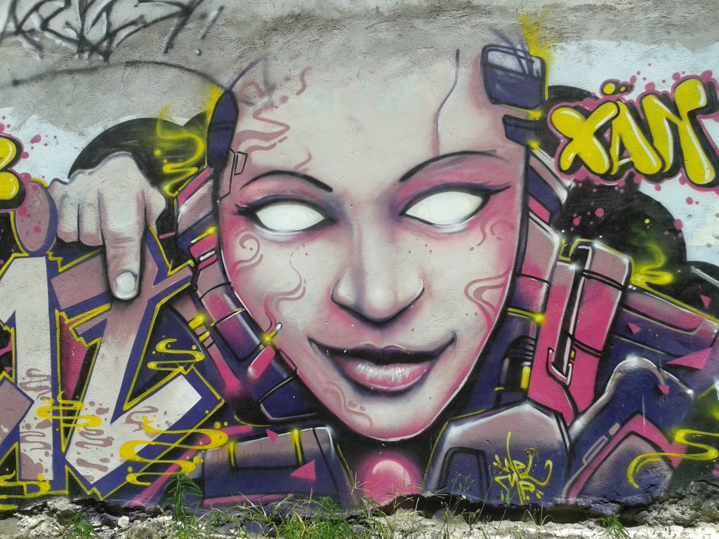 street art fort-de-france nuxuno
