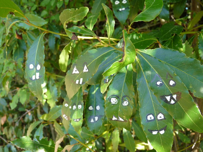 monstre-street-art-vegetal-feuille