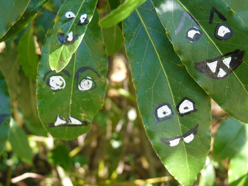 monstres sur feuille street art vert vegetal dessin nature arbre elize