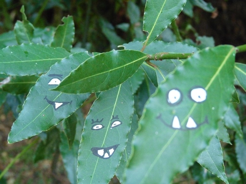 monstre-street-art-vert-feuilles