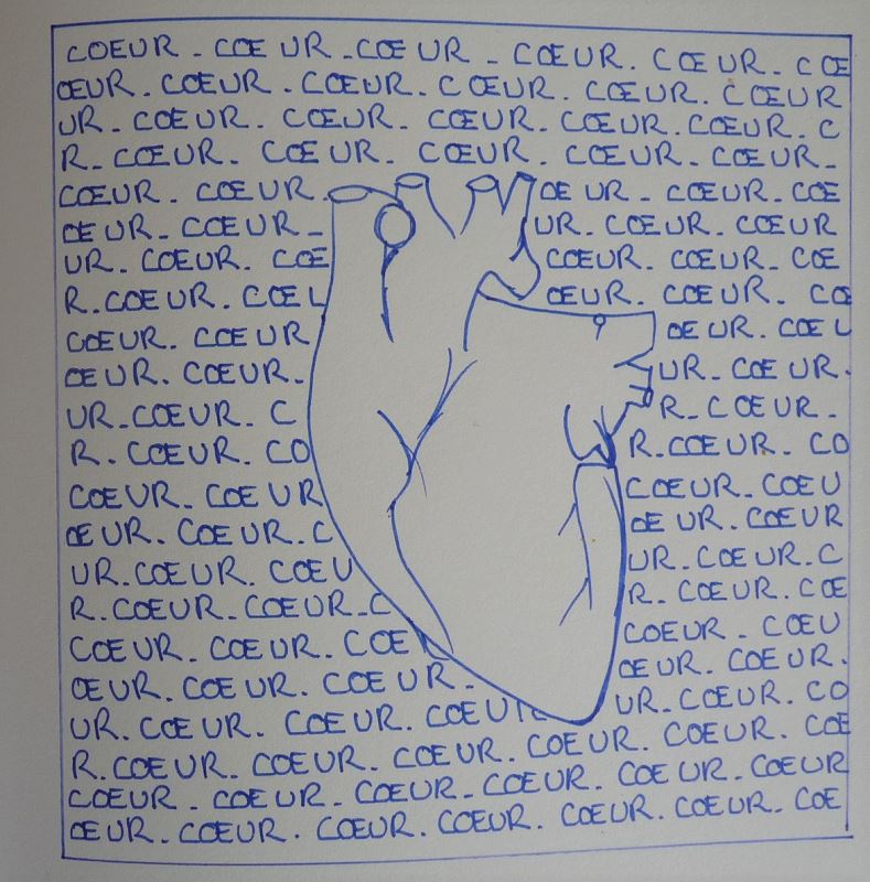 coeur humain dessin au feutre bleu elize