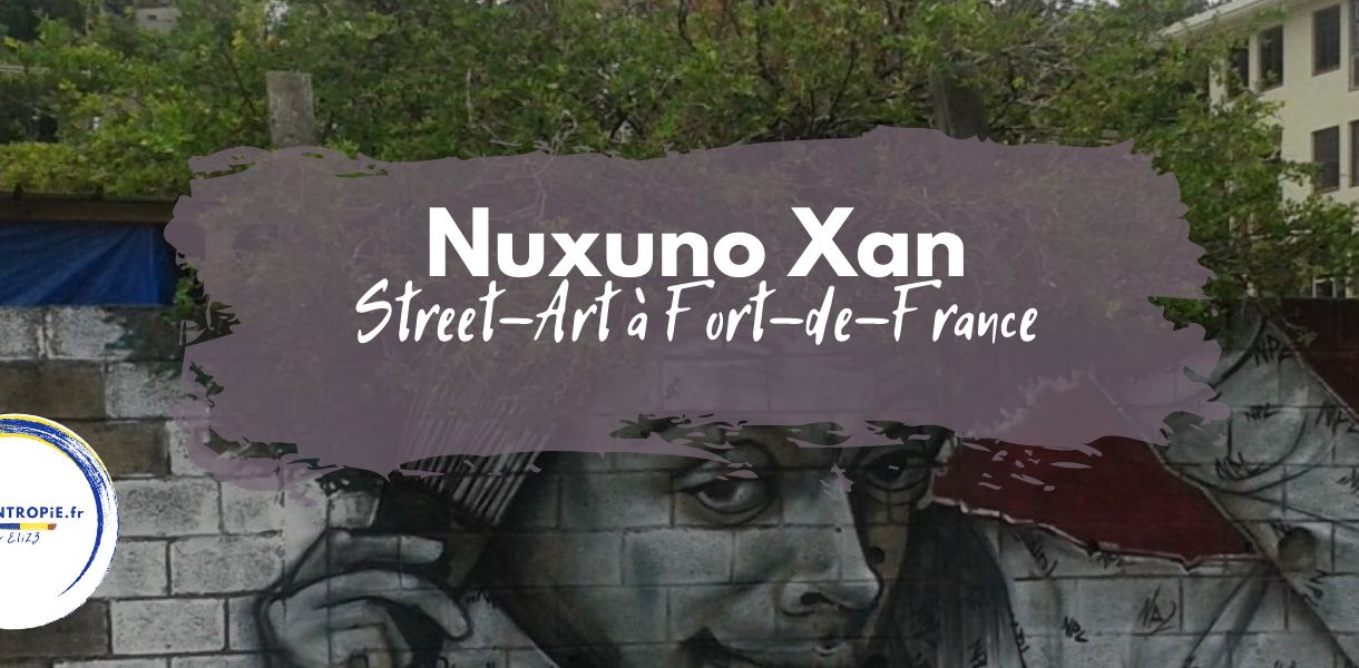 nuxuno xan street art fort-de-france