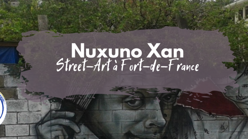nuxuno xan street art fort-de-france