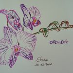 orchidée fleurs tropicales dessin violet