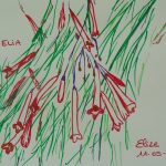 russelia fleurs tropicales dessin rouge goutte sang