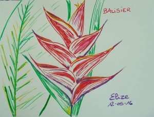 balisier