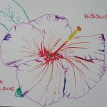 hibiscus fleurs tropicales dessin violet