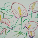 anthurium fleurs tropicales dessin rouge