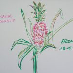 ananas panache decoratif fleurs tropicales dessin rose