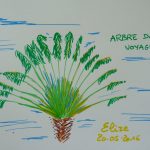 arbre du voyageur fleurs tropicales dessin vert