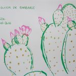 figuier de barbarie fleurs tropicales dessin cactus