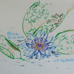 nenuphar fleurs tropicales dessin bleu