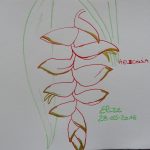 heliconia fleurs tropicales dessin rouge suspendu