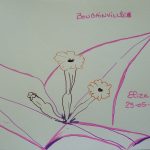 bougainvillée fleurs tropicales dessin rose