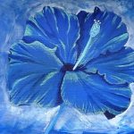 hibiscus bleu fleur tropicale