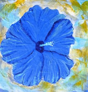 hibiscus bleu fleur tropicale