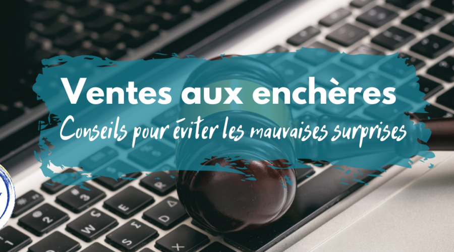ventes aux enchères pigmentropie