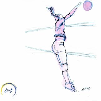 volley vall dessin