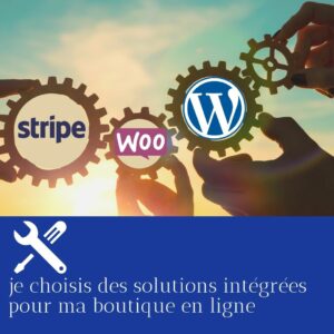 solutions intégrées pour boutique en ligne